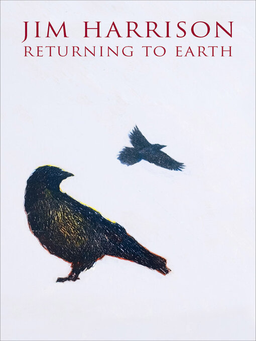 Cover image for Returning to Earth